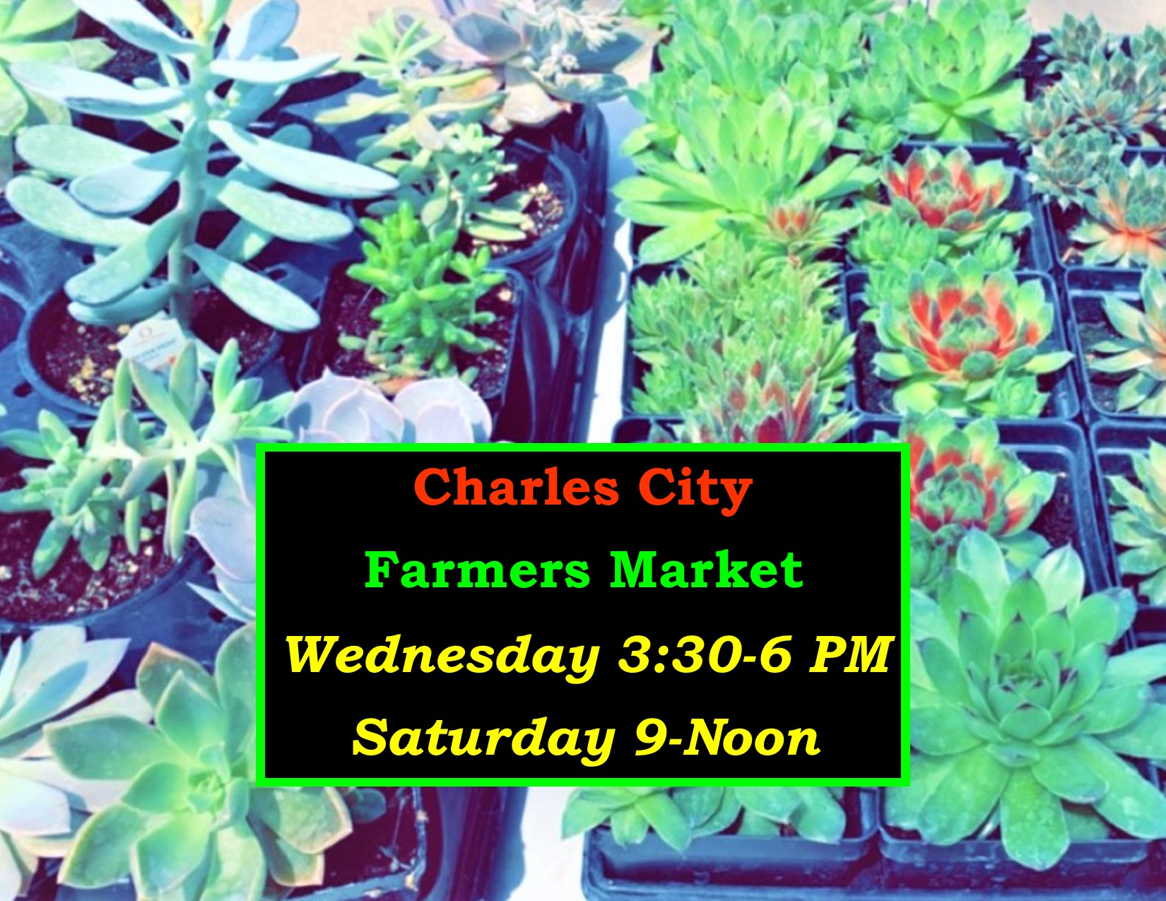 <h1 class="tribe-events-single-event-title">Charles City Farmers Market</h1>
