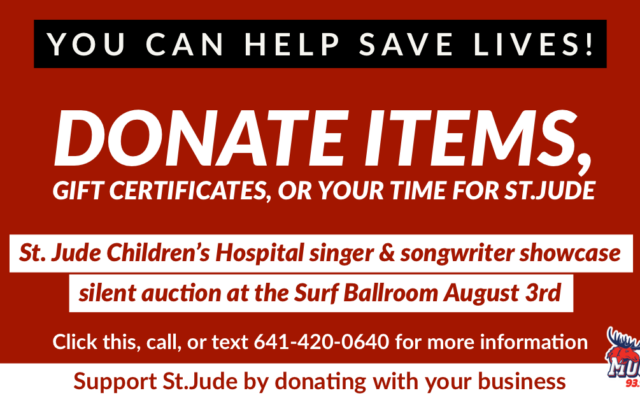 Donate to Jammin for St. Jude’s Silent Auction with The Country Moose!