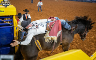 Bareback Rider Tim O'Connell 2024 National Western Stock Show Injury