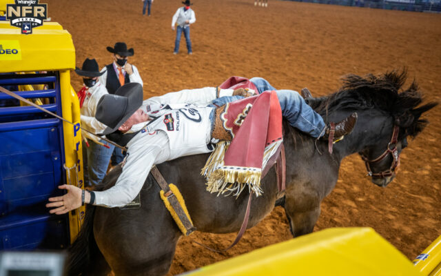 Bareback Rider Tim O’Connell 2024 National Western Stock Show Injury