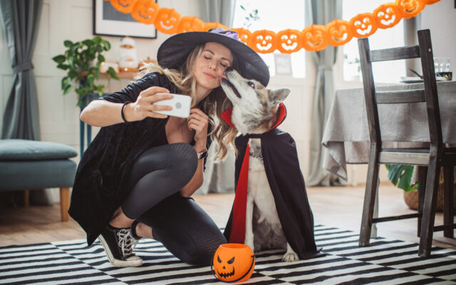 Matching Halloween Costumes For You And Your Pet