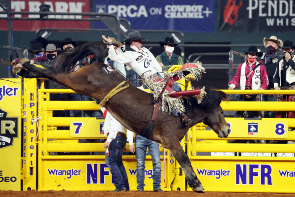 Mason Clements jumpstarts 2023 with RAM Wilderness Circuit Finals Rodeo win