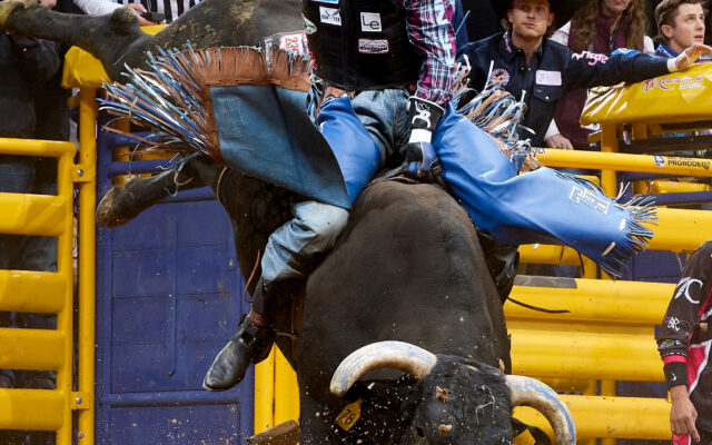 Bull rider Tristen Hutchings gets his second win of NFR on round 5