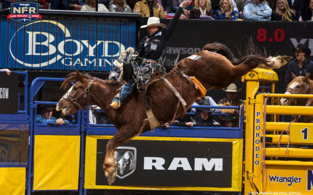 Dawson Hay has record ride on Killer Bee’s last out at the NFR Round 9