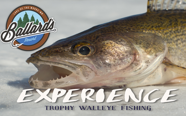 Winter Walleye Connection 2023!