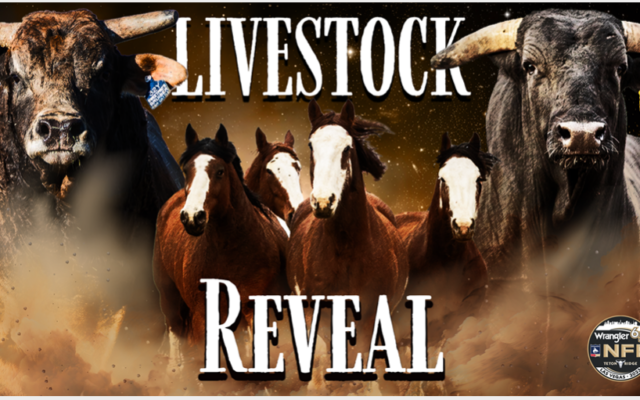 2023 Wrangler NFR Livestock revealed