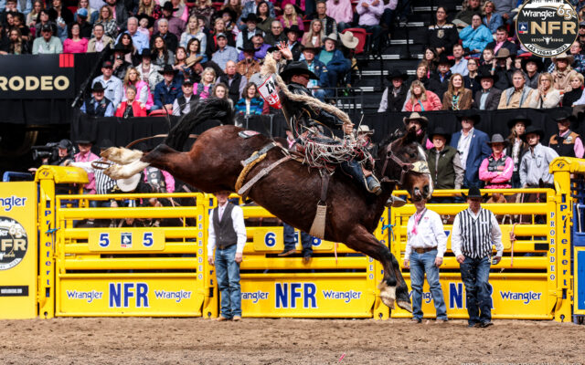 Wild Rides and High Fives: Saddle Bronc Riders Unleash at NFR 2023