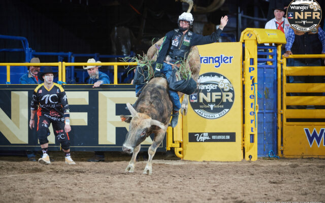 8 second Daredevils: Bull Riders Aim for Triumph at NFR 2023
